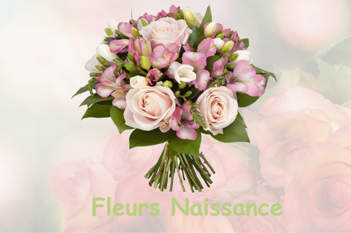 fleurs naissance LA-SERRE-BUSSIERE-VIEILLE