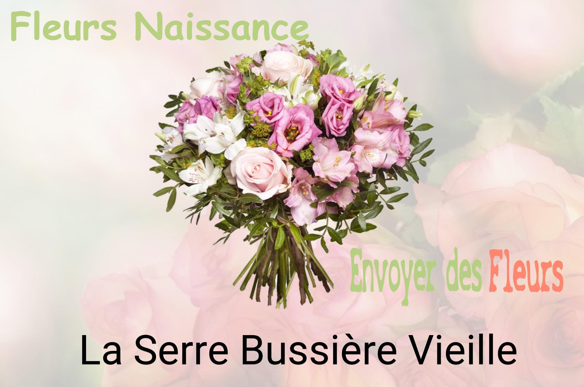Bouquet de fleurs de naissance livré à La Serre-Bussière-Vieille